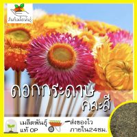 เมล็ดพันธุ์ ดอกกระดาษ คละสี 50 เมล็ด Mixed Strawflower Seed เมล็ดพันธุ์แท้ นำเข้าจากต่างประเทศ ปลูกผัก สวนครัว ถูกดี [ไม่ใช่พืช! เป็นเมล็ดพันธุ์] [คลังสินค้าจุด][ขายตรงจากโรงงาน][ของแท้อย่างเป็นทางการ][โปรโมชั่นลดราคา][50 เมล็ดพันธุ์][เมล็ดผลไม้][เมล็ดพัน