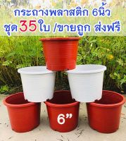 กระถางพลาสติก 6นิ้ว กระถางกลม (ชุด 35ใบ) ส่งฟรี เก็บเงินปลายทาง |กระถางต้นไม้ กระถาง 6นิ้ว กระถางสีขาว กระถางสีอิฐ