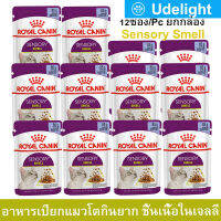 อาหารแมวเปียก Royal Canin Sensory Smell Jelly อาหารแมวกินยาก ชิ้นเนื้อในวุ้นเจลลี่ สำหรับแมวโตอายุ 1 ปีขึ้นไป 85กรัม (12ซอง)  Royal Canin Sensory Smell Wet Cat Food Chunks in Jelly 85g. (12pc)