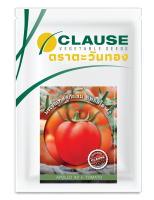 CLAUSE ตราตะวันทอง มะเขือเทศ สายพันธุ์ลูกผสม อพอลโล 42  (TOMATO Apollo 42 F1)