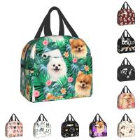 ☫△ Pomeranian Dog With Summer Leaf Insulated Lunch Bag for School Office Pet Spitz Resuable Thermal Cooler Bento Box Women Kids