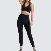 Yoga Set Sportswear Sports +Leggings Fitness Pants Gym Running Suit Exercise Clothing Athletic