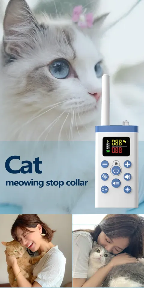 Stop 2024 meowing collar