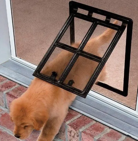 what size dog door do i need for a golden retriever