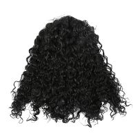 Short Lace Front Human Hair Wigs Pre Plucked With Baby Hair Deep Part Curly Brazilian Remy Hair Lace Front Wigs