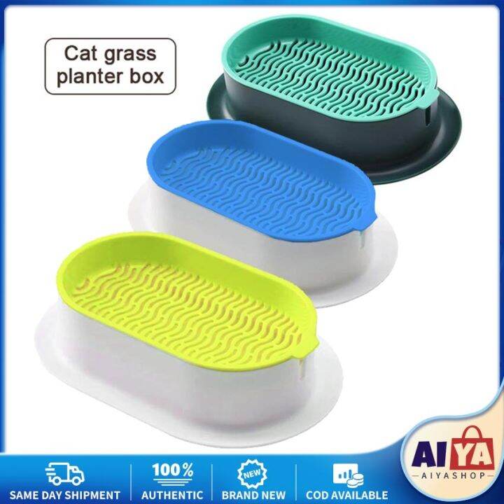 Pet Cat Snack Cat Mint Planting Hydroponic Box Cat Grass Pot Color