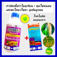 ชุด กำจัดโรคในทุเรียน และ คุมไข่หนอน ทุเรียน เฮกซะโคนาโซล 1ลิตร +ลูเฟนนูรอน 500 ccโรคใบติด ใบไหม้ แอนแทรคโนส คุมไข่หนอน หนอนเจาะ หนอนชอนใบ