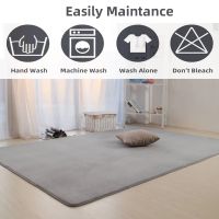 Solid Color Home Floor Rugs Coral Velvet Carpet MAX 160x200 Alfombra For Sofa Cushion Bed Room Kids Non-Slip Entrance Lounge Rug