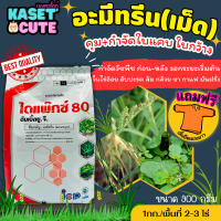 ? แถมฟรีเสื้อ 1 ตัว ไดแพ๊กซ์ (อะมีทรีน80%) คุมก่อน-หลังงอกหญ้าใบแคบและใบกว้าง (900กรัม)