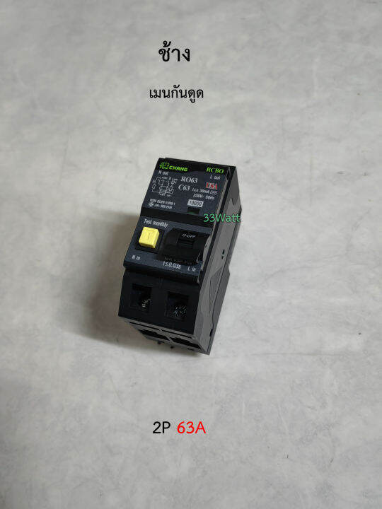 ช้าง-rcbo-เมนกันดูด-2p-63a-เมนเบรกเกอร์กันดูด-2-สาย-plug-on