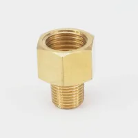 1/8 NPT Male x 1/4 BSPP Female Brass Pipe Fitting Connector Adapter For Pressure Gauge Air Gas Fuel Water Pressure 229 PSI