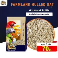 FarmLand Hulled oat อาหารนก ข้าวโอ๊ต ( ขนาดแพ็คเก็จ 1KG)