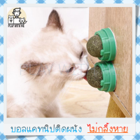 "พร้อมส่ง" แคทนิปบอล ติดกำแพง ไม่กลิ้งหาย catnip ball กัญชาบอล บอลแมว กัญชาแมว