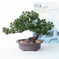 1 Piece New Simulation Welcome Pine Potted Plant Indoor Green Small Bonsai Desktop Artificial Flower Home Decoration Ornaments