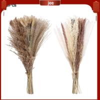 การตกแต่งบ้าน JEE Phragmites ดอกไม้แห้ง Pampas หญ้าเทียม Boho ดอกไม้ผสมธรรมชาติ17นิ้ว Pampas ปุย