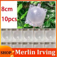 Merlin Irving Shop 8cm 10pcs Fruit Plant Tree Rooting Ball Root Box Plastic Case Transparent Grafting Rooter Growing High-pressure Breeding