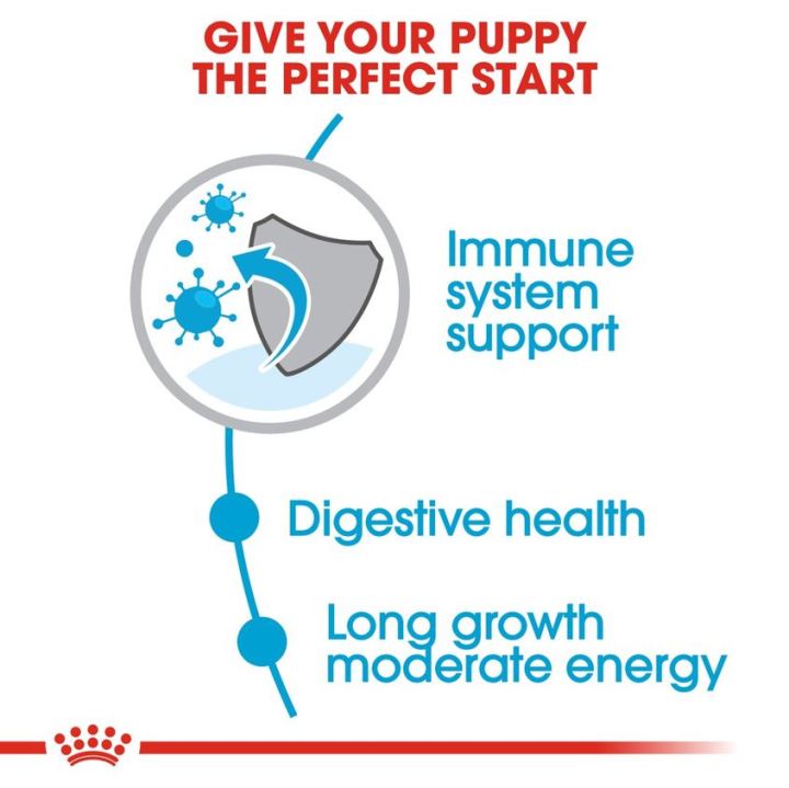 หมดกังวน-จัดส่งฟรี-royal-canin-maxi-puppy-อาหารลูกสุนัข-ขนาดใหญ่-อายุ-2-15-เดือน-ขนาด-1-กิโลกรัม-4-กิโลกรัม-10-กิโลกรัม-15-กิโลกรัม