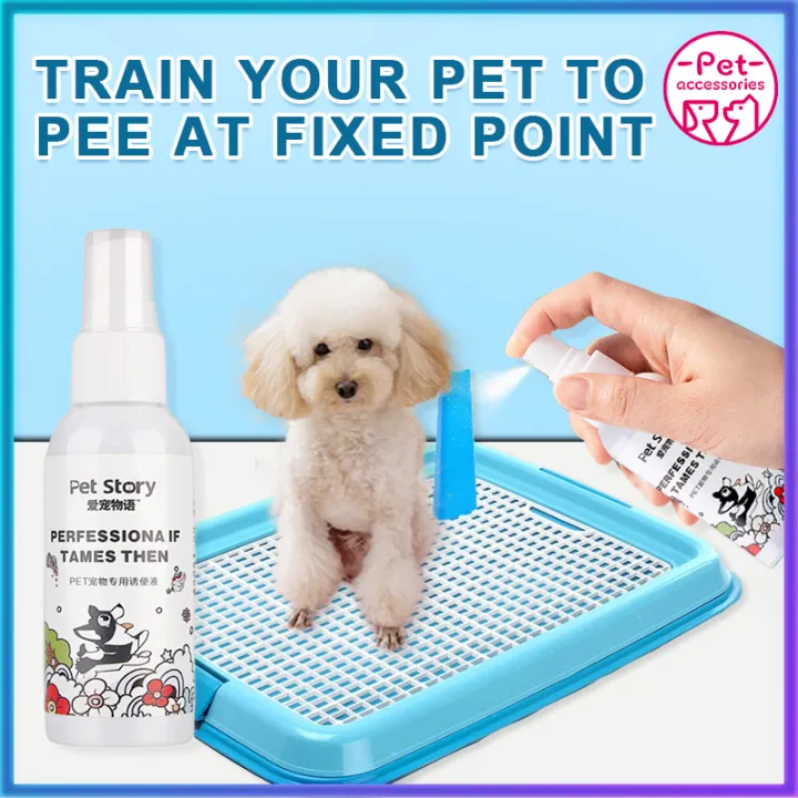 how to toilet train my dog