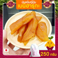 มันหนึบญี่ปุ่น 250 กรัม มันหนึบ มันหวาน มันหวานหนึบ มันหวานญี่ปุ่น มันหวานญี่ปุ่นแท้ มันหวานญี่ปุ่นเบนฮารุกะ มันหวานญี่ปุ่นนำเข้า มันญี่ปุ่น มันญี่ปุ่นแท้ มันญี่ปุ่นเบนิฮารุกะ มันญี่ปุ่นหวาน เบนิฮารุกะ เบนฮารุกะญี่ปุ่นแท้ ขนมญี่ปุ่น