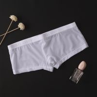 【CW】 Transparent Men Seamless Pants Boxershorts Male Silk Slips Homme Panties Small Shorts