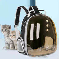 กระเป๋าเป้สะพายหลัง Cat Carrier พร้อมรูระบายอากาศกลางแจ้งแบบพกพา M รถกระเป๋าถือโปร่งใสสัตว์ขนาดเล็ก Kitten Cage Supplies