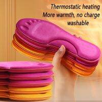 Self Heated Thermal Insoles For Feet Winter Thermal Thicken Memory Foam Shoe Pads Men Women Sports Shoes Self-heating Shoe Pads Shoes Accessories