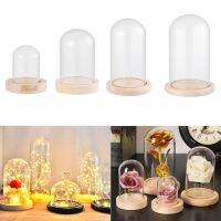 FAY Jar Transparent Bottle Glass Vase Terrarium Glass cloche