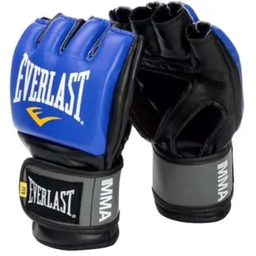 Shop Everlast Boxing Gloves