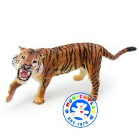 Munich Play - โมเดลสัตว์ Tiger พ่อเสือโคร่ง ขนาด 15.00 CM (จากหาดใหญ่)