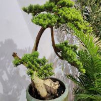 Plastic Artificial Pine Cypress Plant Bonsai Desktop Garden Plastic tree Branch