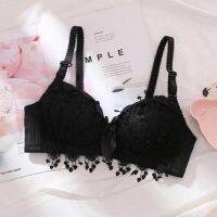 New Spring Summer Bras For Teenagers Cute Bow Comfortable Underwear For Girls Made Of Cotton Wireless Ladies Lace Sexy Lingerie