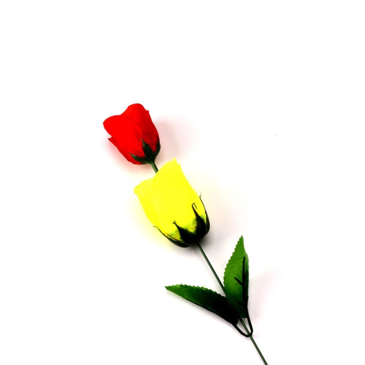 ruyifang-เปลี่ยนสีดอกกุหลาบ-สีแดงเปลี่ยนสีเหลือง-กุหลาบเมจิกเทคนิคเปลี่ยนกุหลาบเมจิก