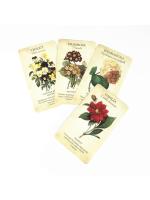 Botanical Inspiration Oracle Cards Full English 45 Cards Deck Tarot Mysterious Divination Family Party Board Game