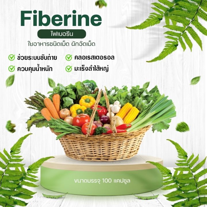 ไฟเบอรีน-ผลิตภัณฑ์เสริมอาหาร-ใยอาหารชนิดเม็ด-ตรา-กิฟฟารีน-ช่วยในระบบขับถ่าย