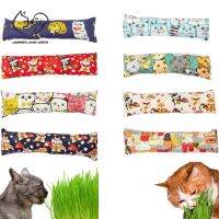 Strip Throw Pillows Catnip Chew Interaction Teeth Supplies Accessories