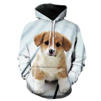 Fashion Cute Animals Dogs 3D Printing Hoodies Fashion Mens Women Long Sleeve Hoodie Sweatshirt Pullover Tops Hooded Coat