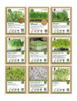 เมล็ดต้อนอ่อนผัก Microgreen