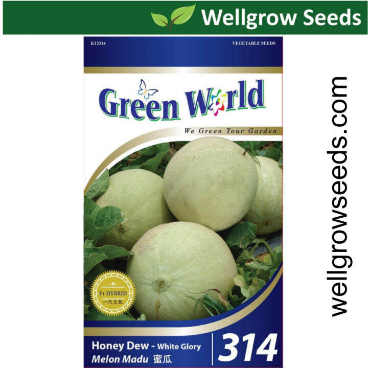 Green World Seeds Honey Dew White Glory Seeds Gw Lazada