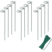 Plant Support Stakes, 15.7 Inch Plant Support Garden Stakes, Flower Stakes Support with 24 Pcs Twist Ties