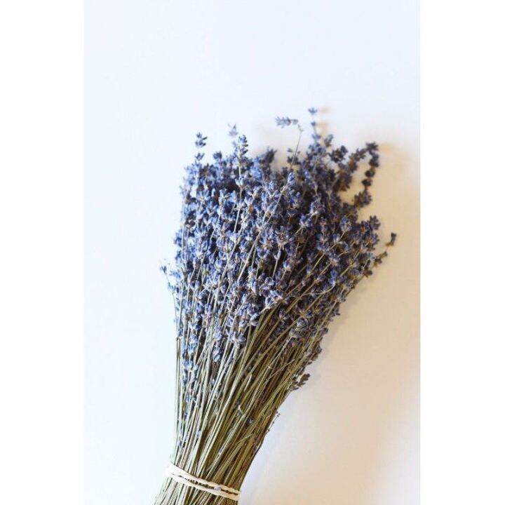Dried Lavender/real flower/ per Stem Lazada PH