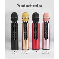 New build-in double speakers Bluetooth microphone Handheld Karaoke Microphone