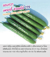 เมล็ดพันธุ์ แตงกวาญี่ปุ่น แตงกวา สายพันธุ์  เพรตตี้ สวอลโล่ 279 - Cucumber (Hybrid) Pretty Swallow ตราดอกแตง