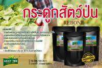 กระดูกสัตว์ป่น (REBONE) เพิ่มแคลเซืยม แม็กนีเซียม สูง แก้ปัญหาดินเก่า บดคัดเกรด A รับประกันฟรีจากทางร้าน