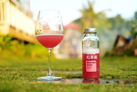 Combo 9 + 1 miễn phí chai trà lên men wayof kombucha hương vị hỗn hợp - ảnh sản phẩm 6