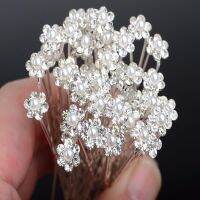 OperaCWwart20Pcs Fashion Wedding Bridal Pearl Flower Clear Crystal Rhinestone Hair Pins Clips Bridesmaie Hairwear Jewelry Hair Accessories