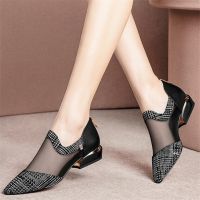 Summer Women High Heel Shoes Mesh Breathable Pumps Zip Pointed Toe Heels Fashion Female Dress Sandals Shoes Footwear