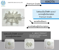 ใบพัดลมปั้มน้ำไฟฟ้าขนาด1นิ้ว ขนาดใบพัดอยู่ในDiscription