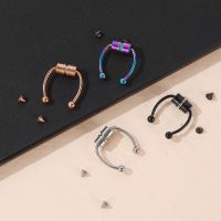 IPARAM Fake Piercing Nose Ring Hoop Septum Non Piercing Nose Clip Rock HipHoop Stainless Steel Magnet Fashion Punk Body Jewelry