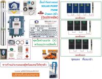 LEBENTO ปั๊มซัมเมอร์ส DC บัสเลส 750W บ่อ4นิ้ว น้ำออก 2นิ้ว+พร้อมอุปกรณ์ติดตั้ง