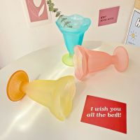 French Vintage Frosted Glass Mug Flower Gradient Color Ice Cream Dessert Cold Drink Cup Coffee Milk Tea Cup Flower Vase